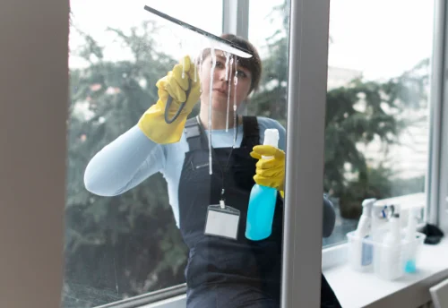 Nettoyage de vitres intérieures et extérieures à Saint-Léger-du-Bourg-Denis